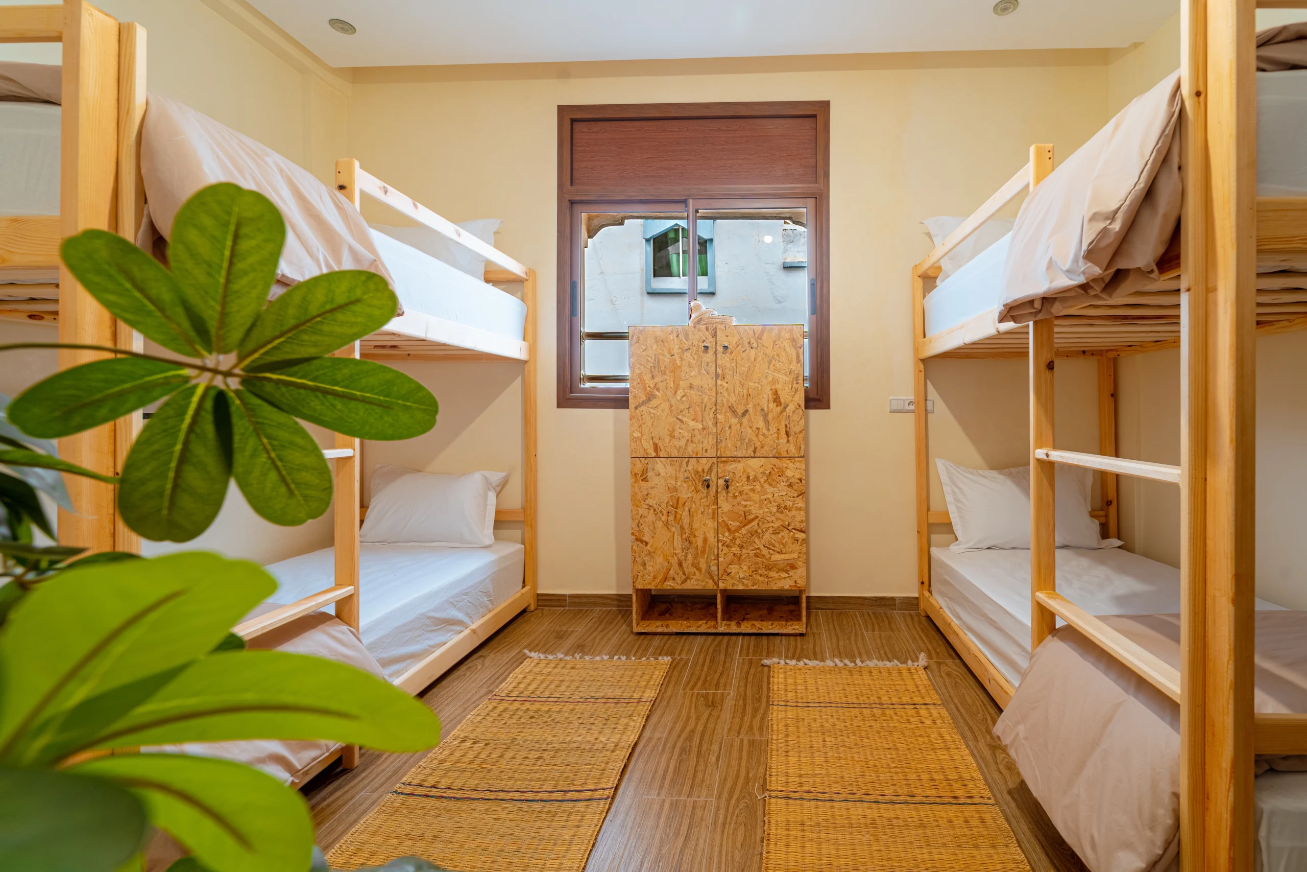Women-only dormitory room at ROOTS surf hostel Agadir Morocco from $14 per night
